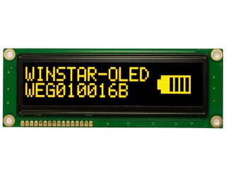 WEG010016BL